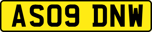 AS09DNW