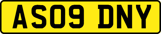 AS09DNY