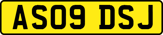 AS09DSJ