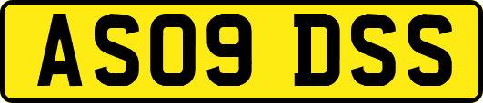 AS09DSS