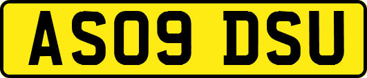AS09DSU