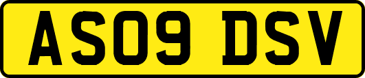 AS09DSV