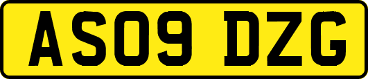 AS09DZG
