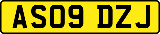 AS09DZJ