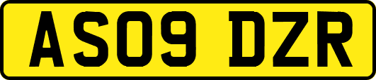 AS09DZR