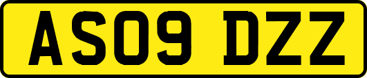AS09DZZ