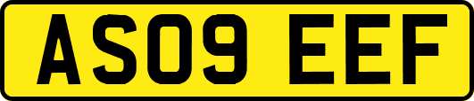 AS09EEF