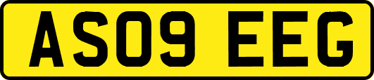 AS09EEG