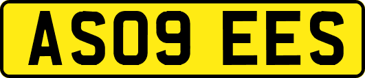AS09EES