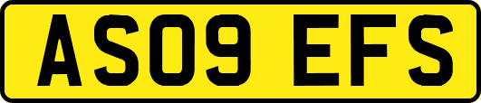 AS09EFS