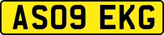 AS09EKG
