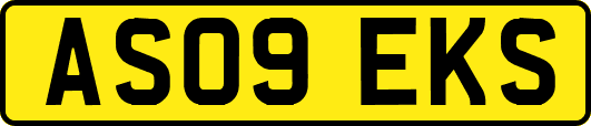 AS09EKS