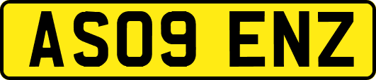 AS09ENZ