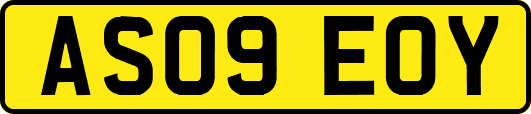 AS09EOY