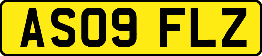 AS09FLZ