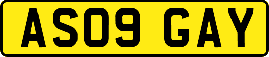 AS09GAY