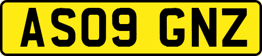 AS09GNZ