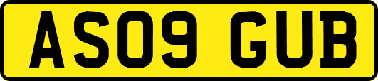 AS09GUB