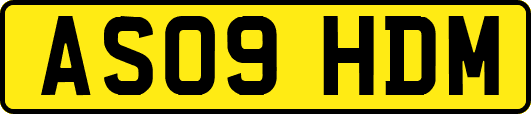 AS09HDM