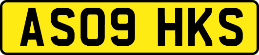AS09HKS
