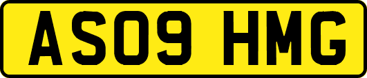 AS09HMG