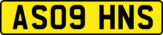 AS09HNS