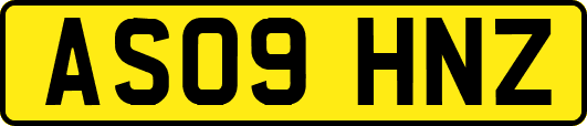 AS09HNZ