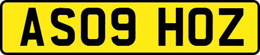 AS09HOZ