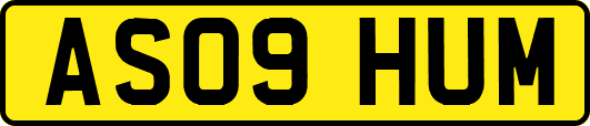 AS09HUM