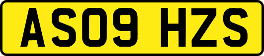 AS09HZS
