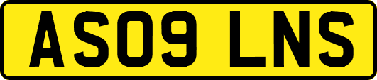 AS09LNS