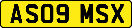 AS09MSX