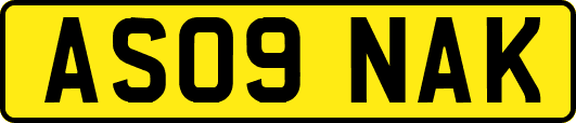 AS09NAK