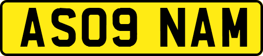 AS09NAM