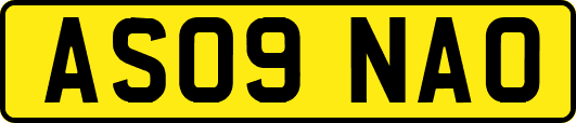 AS09NAO