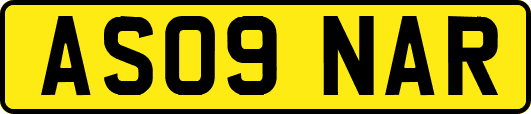 AS09NAR