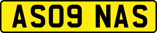 AS09NAS