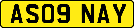 AS09NAY