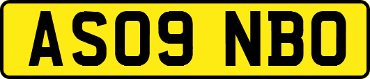 AS09NBO