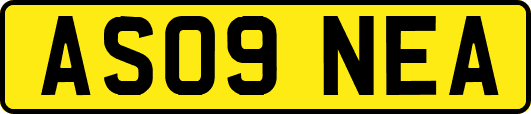 AS09NEA