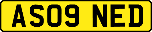 AS09NED