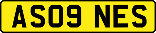 AS09NES