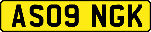 AS09NGK