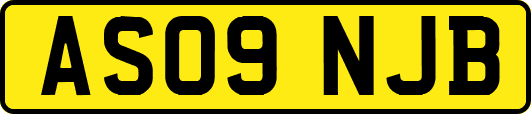 AS09NJB