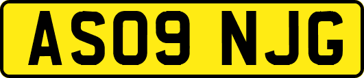 AS09NJG