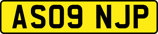 AS09NJP