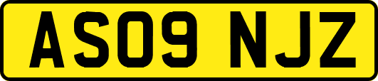AS09NJZ