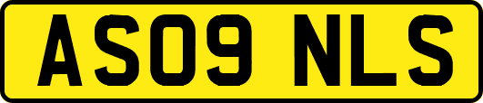 AS09NLS