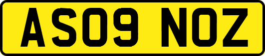 AS09NOZ