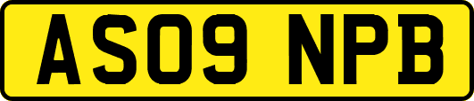 AS09NPB